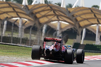 Технический брифинг: заднее крыло Toro Rosso STR11