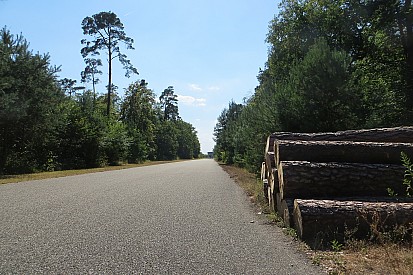 Vergane glorie: Dit is er nog over van de iconische ‘oude’ Hockenheimring