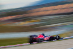 Max Verstappen, Scuderia Toro Rosso STR11
