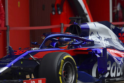 Брендон Хартли, Scuderia Toro Rosso STR13