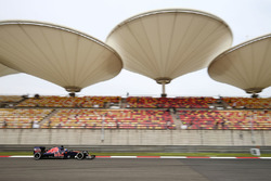Max Verstappen, Scuderia Toro Rosso STR11