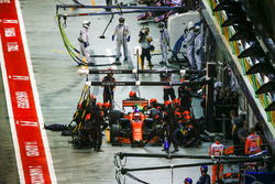 Stoffel Vandoorne, McLaren MCL32
