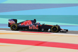 Max Verstappen, Scuderia Toro Rosso STR11