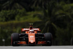 Stoffel Vandoorne, McLaren MCL32