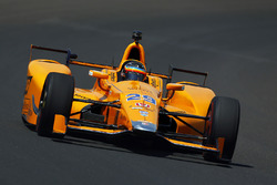Fernando Alonso, Andretti Autosport, Honda