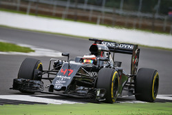 Стоффель Вандорн, тестовий та резервний пілот McLaren MP4-31