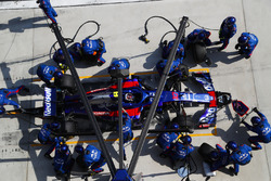П'єр Гаслі, Toro Rosso STR13 Honda