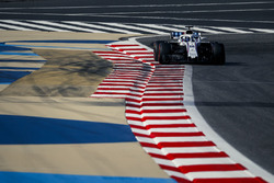 Ленс Стролл, Williams FW41