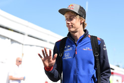 Брендон Хартли, Scuderia Toro Rosso