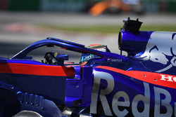 Брендон Хартлі, Scuderia Toro Rosso STR13