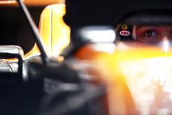 Fernando Alonso, McLaren