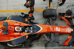Stoffel Vandoorne, McLaren