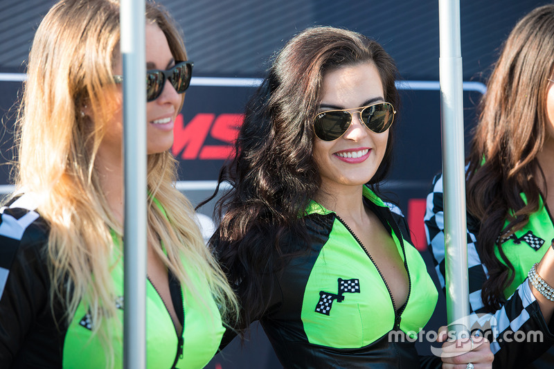 Lovely grid girls