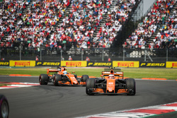 Stoffel Vandoorne, McLaren MCL32, Fernando Alonso, McLaren MCL32