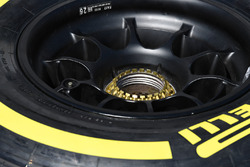 Шина Pirelli