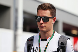 Stoffel Vandoorne, McLaren Test and Reserve Driver