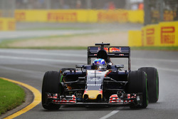 Max Verstappen, Scuderia Toro Rosso STR11