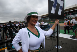 Grid girl