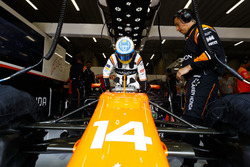 Fernando Alonso, McLaren