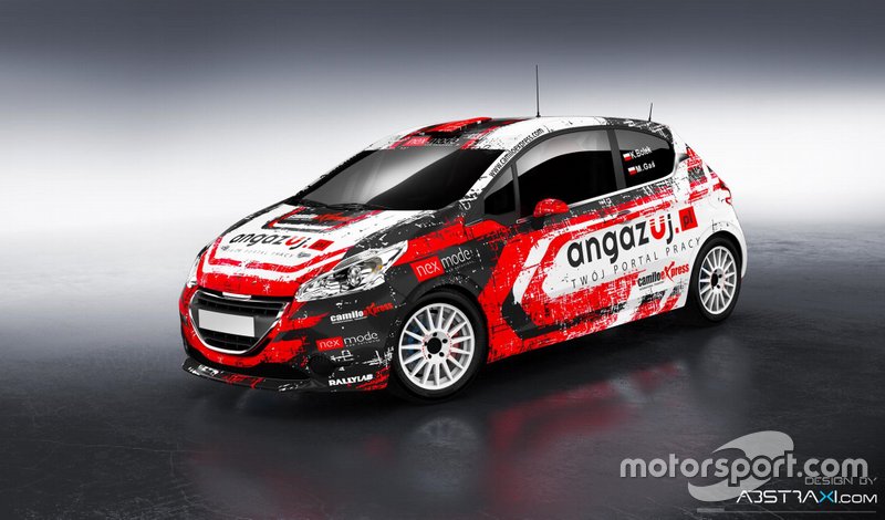 Kamil Bolek, Marcin Gas, Peugeot 208 R2, RSMP