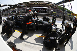 Fernando Alonso, McLaren MP4-31