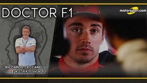 Ceccarelli: