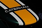 2014 cars to have 'anteater' noses - report 2014 cars to have 'anteater' noses - report