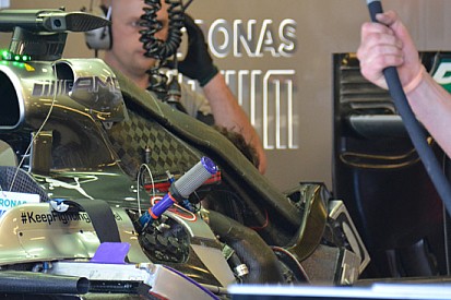 Sulla Mercedes spuntano le orecchie sul cofano
