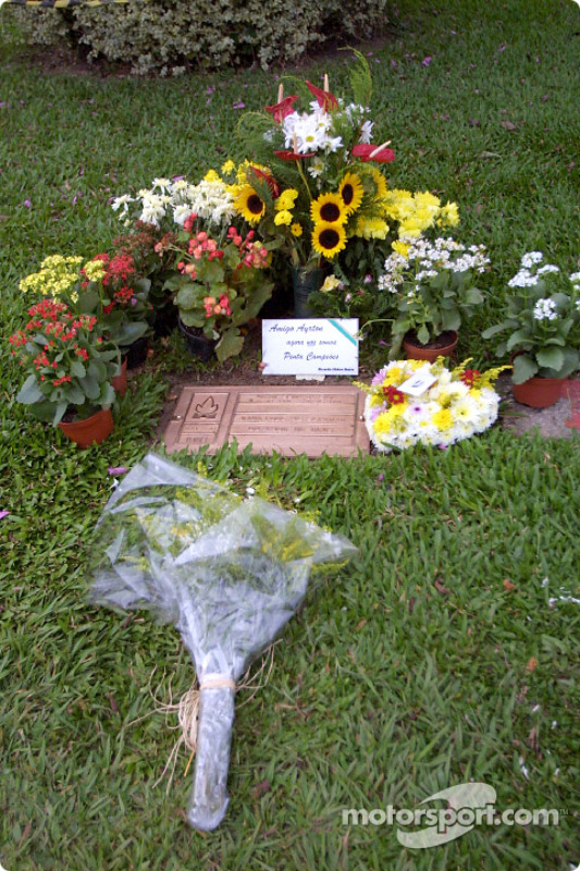 [Imagen: f1-brazilian-gp-2003-ayrton-senna-da-sil...metery.jpg]