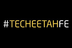 Techeetah Team