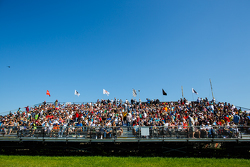 St. Pete, Fans