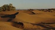 What's Up With the Orlen Team: Morocco tests What's Up With the Orlen Team: Morocco tests