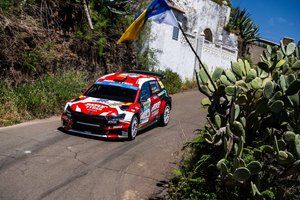 Trudny rajd dla indyjskiego dostawcy opon