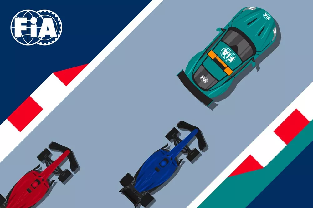 FIA driver guideline graphic