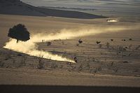 Dakar: Etap 12 - Kierunek meta