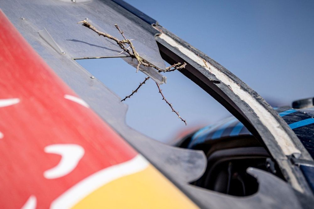 Detalle del coche #225 Ford M-Sport Ford: Carlos Sainz, Lucas Cruz