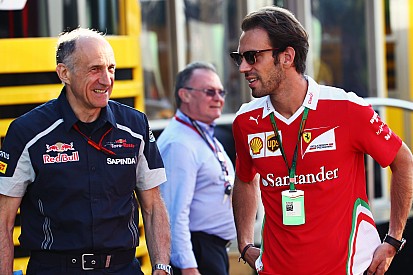 Horner, Toro Rosso'nun Vergne'e olan ilgisini doğruladı