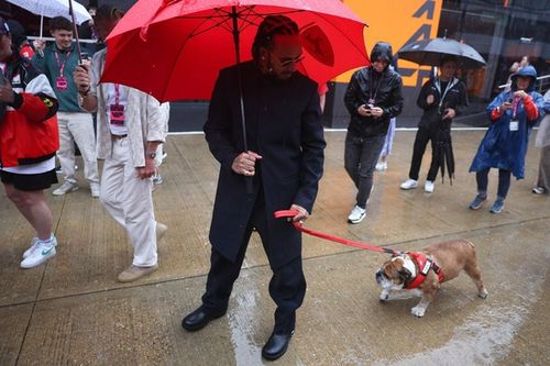 F1: Hamilton 'abre m&atilde;o' de teste da Pirelli para ficar com Roscoe e Zhou assume