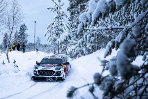 Pomocne przygody Munstera