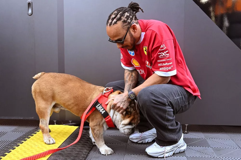 "Horas assustadoras": Hamilton se preocupa com a sa&uacute;de de Roscoe