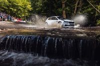 Kołtun przerwał serię Szejów