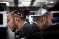 Hamilton afea los comentarios de Button y Hill sobre su retirada 