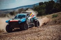 Polskie sukcesy na Węgrzech