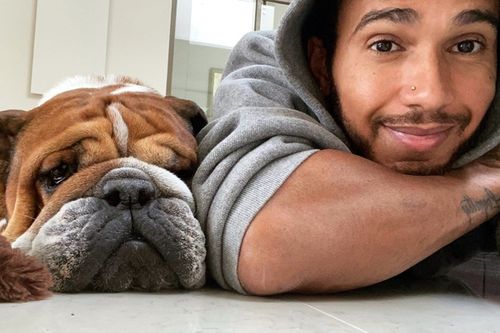 Dura p&eacute;rdida para Hamilton: muere su perro y amigo, Roscoe