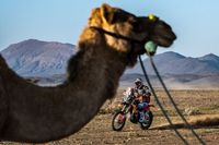 Dakar: M&oacute;wią po 7. etapie