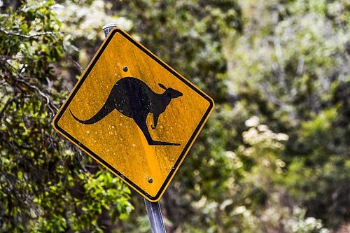 Rally de Australia cancelado por incendios