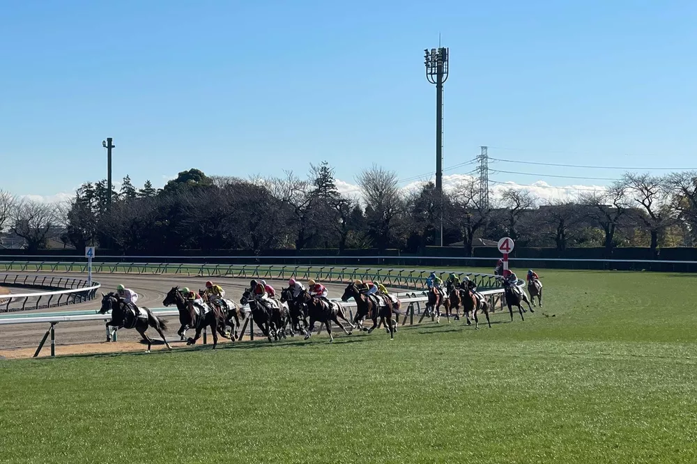 中山競馬場