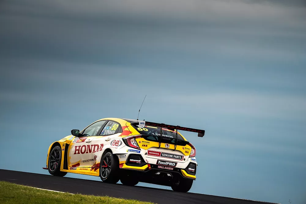 Tony D'Alberto, Wall Racing Honda Civic