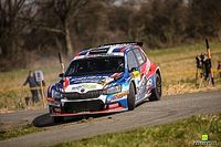 Grzyb tym razem drugi