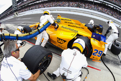 Fernando Alonso, Andretti Autosport Honda